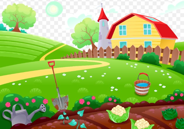 Cultivating Green Dreams: My Journey towards Gardening!